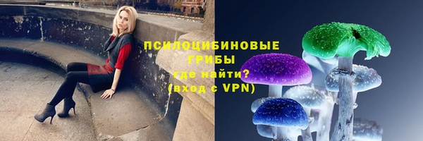 прущие грибы Бородино