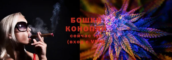дживик Бронницы