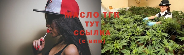 прущие грибы Бородино