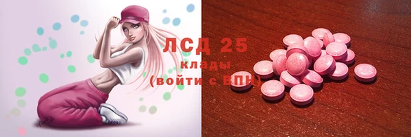 дживик Бронницы