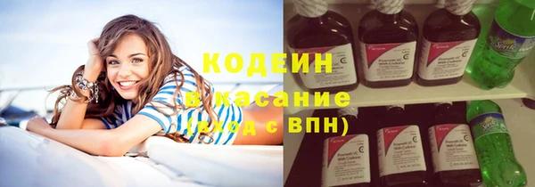 прущие грибы Бородино