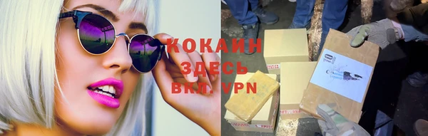 дживик Бронницы