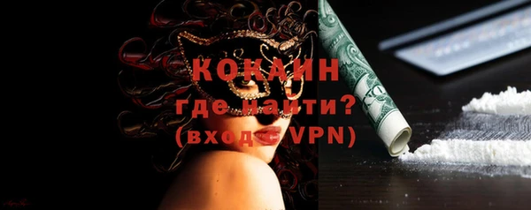 дживик Бронницы