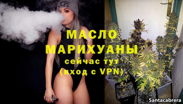 дживик Бронницы