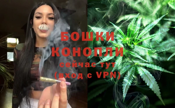 дживик Бронницы