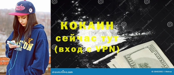 прущие грибы Бородино