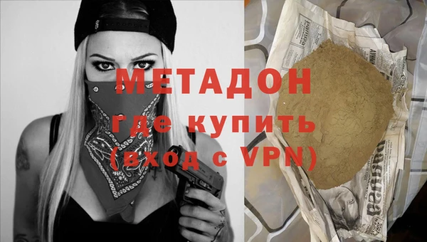 прущие грибы Бородино
