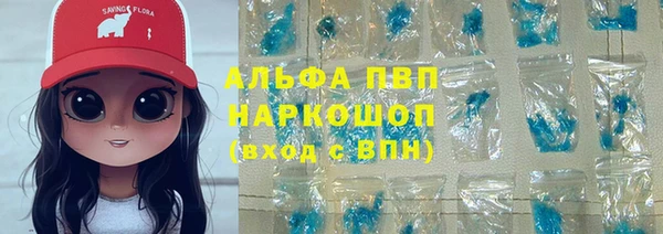 прущие грибы Бородино