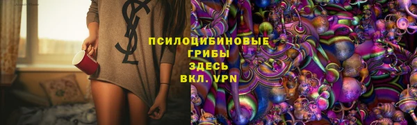 дживик Бронницы