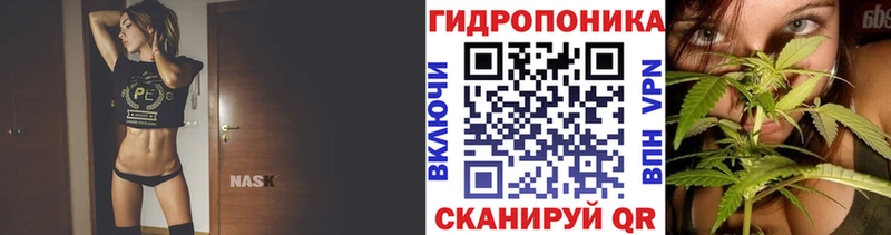 Бошки Шишки марихуана  Купить  Олёкминск 